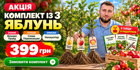 2-ая линия 1-й Banner
