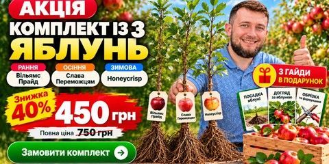 2-ая линия 1-й Banner